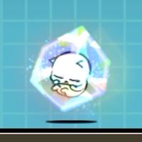 にゃんこ協力隊