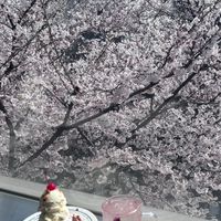 阿酸韓國🇰🇷好玩好物分享