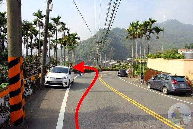 台中新社梅花秘境