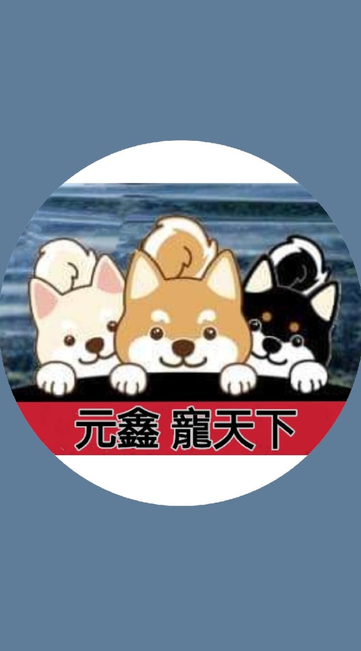 元鑫寵天下