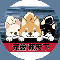 元鑫寵天下