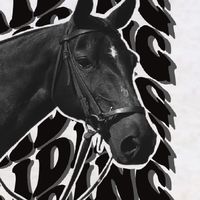 PROMYOTHEE RIDING CLUB