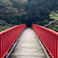 The Backrooms擬似サンドボックス/Δ階層制作