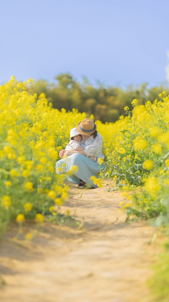 【5/5】菜の花畑撮影会【三本木】