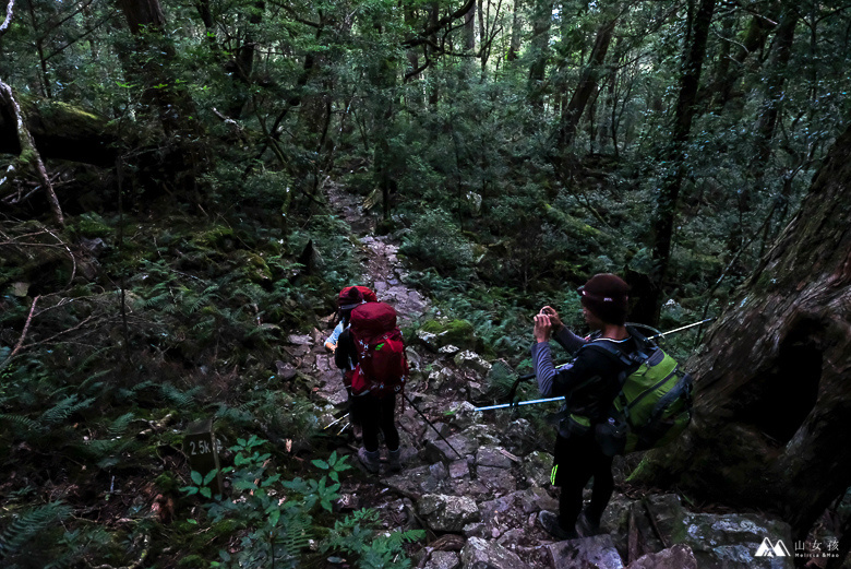 山女孩Melissa_大霸群峰三天兩夜_大霸尖山小霸尖山_登山心得-0542.jpg