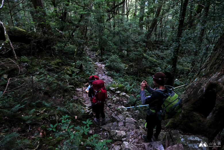 山女孩Melissa_大霸群峰三天兩夜_大霸尖山小霸尖山_登山心得-0542.jpg