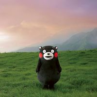 ✨️大人のフリートークカフェ☕くまモンTALKROOM✨️🐻