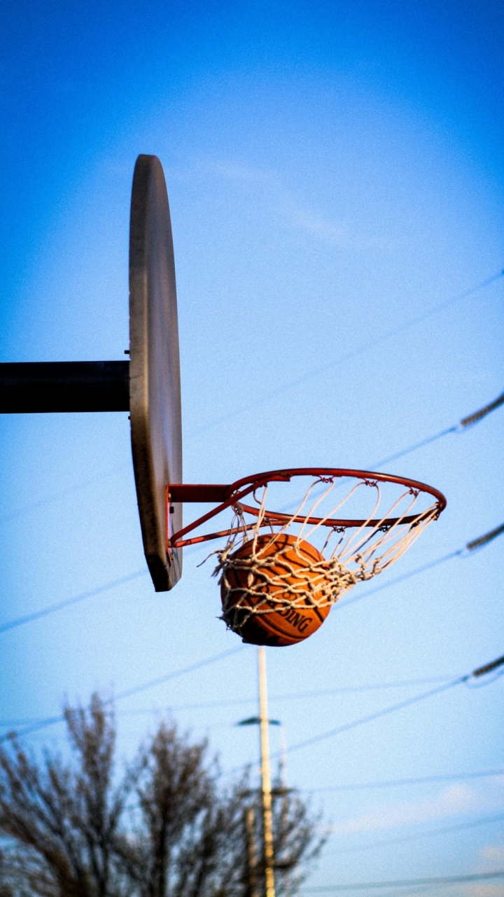 TTC Basketball Club