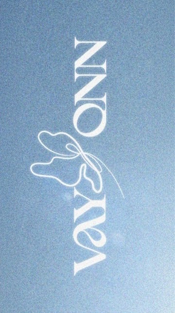 VAYONN台灣粉絲討論接生群🦋