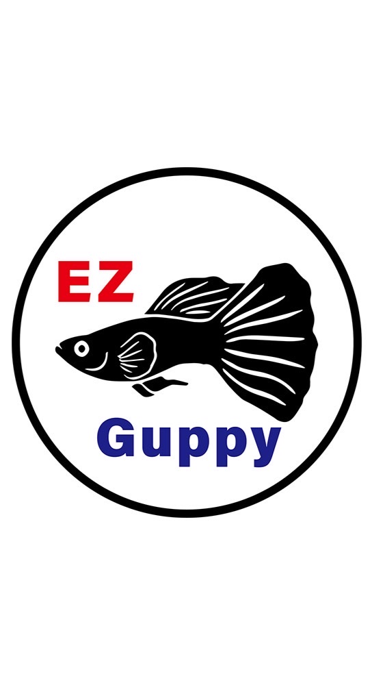 孔雀魚知識