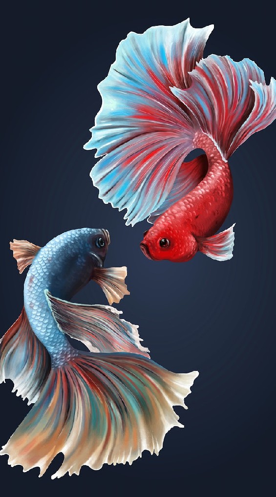ซื้อขายประมูลปลากัดสวยงาม Buy and Sell betta group