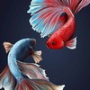 ซื้อขายประมูลปลากัดสวยงาม Buy and Sell betta group