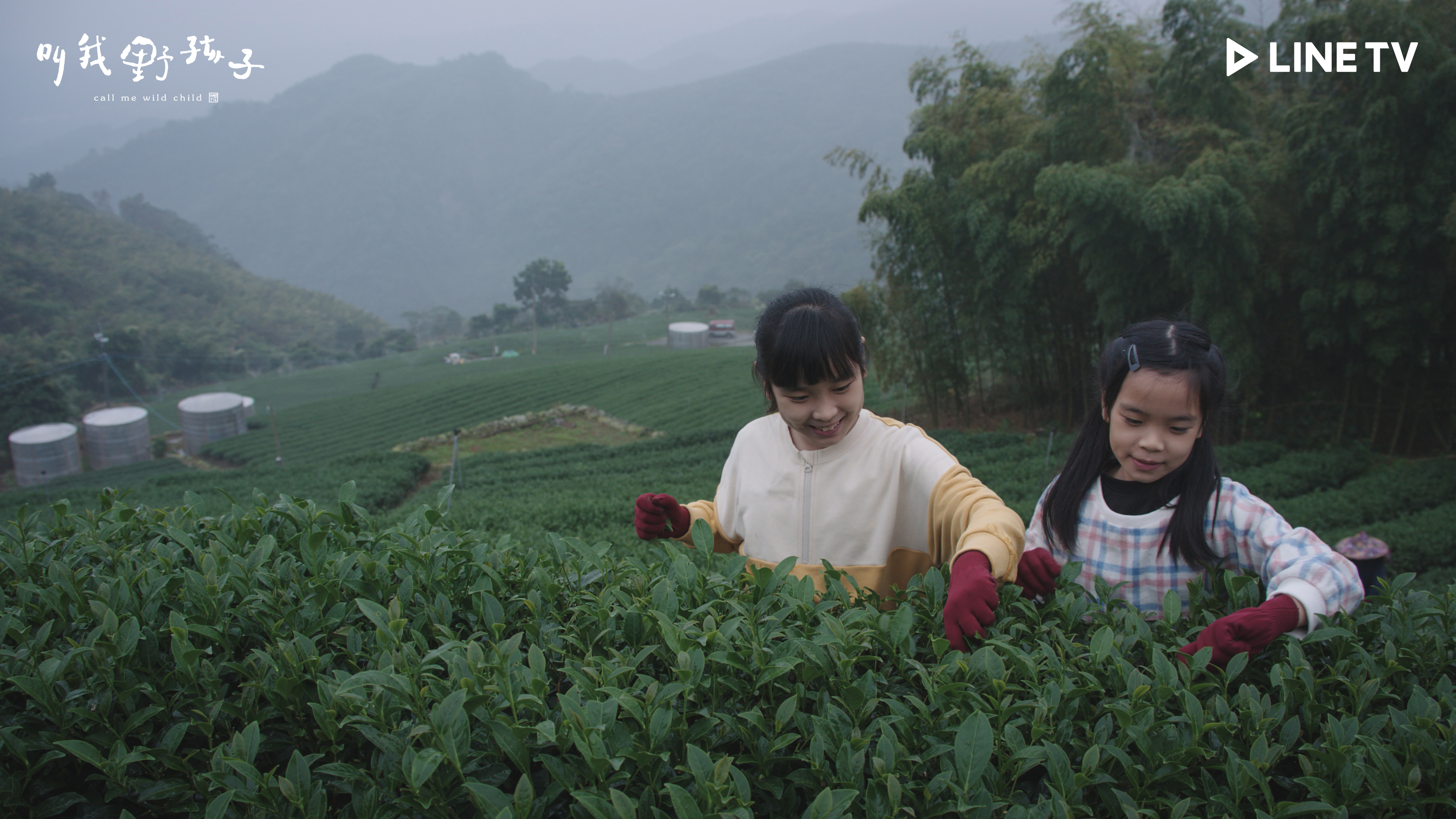 圖片提供 / LINE TV