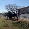 縣苑108帥哥美女養成訓練班
