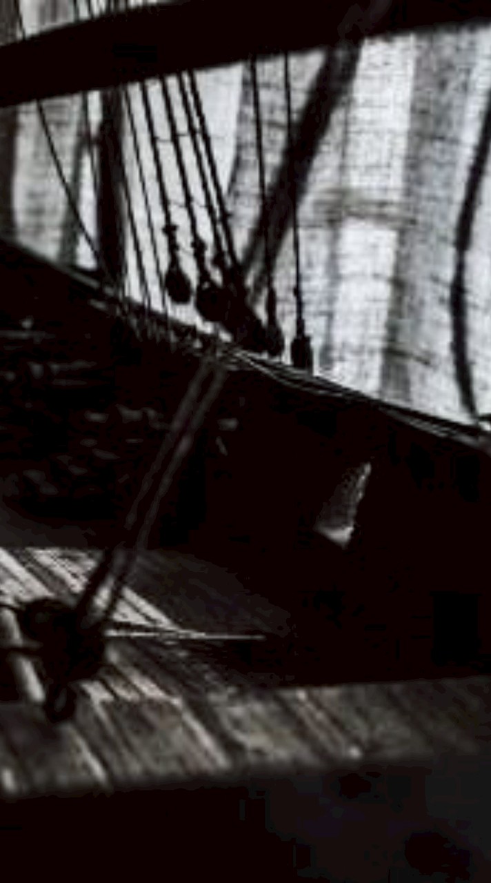 🏴‍☠️Forsaken Pirate | rp