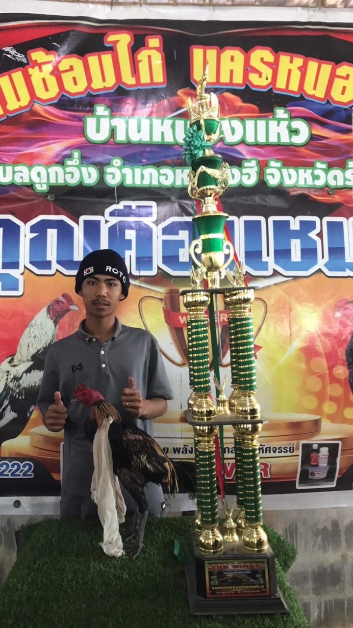 ซุ้ม เพชรบ้านดอน (โชกุน789 )