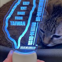 FOKA 國民黨滾出台灣協會 Fuck Off KMT Association