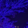 関東の大学専門学生おいで✨