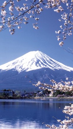 global talk Japan