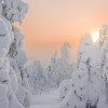 日本藏王滑雪探險家