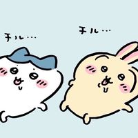 株式吉伊卡哇代購群