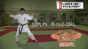 鳥取縣為宣傳松葉蟹，老作一堆無厘頭「蟹新聞」