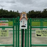板橋浮洲寵物公園草地情報站