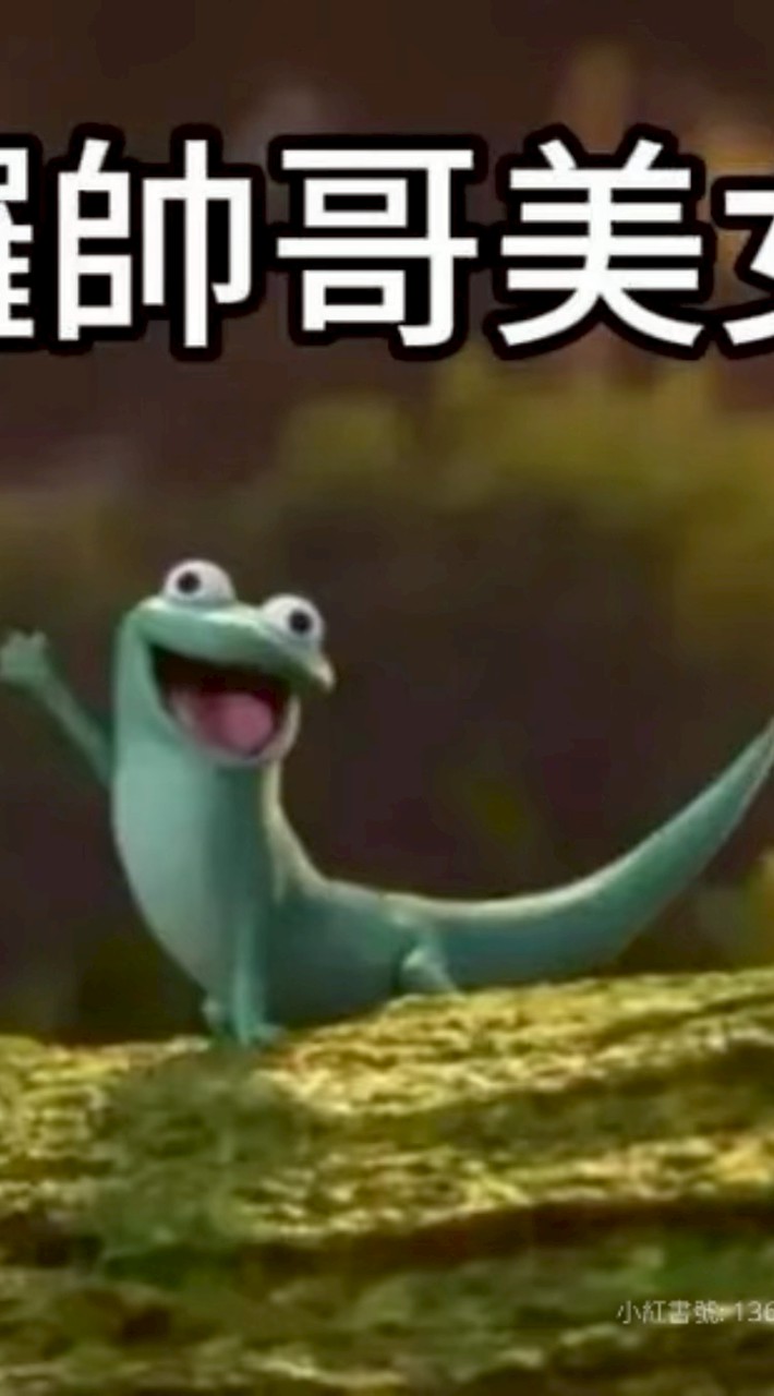 綠蜥蜴家族🦎