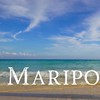 Maripo〜海をキレイに〜