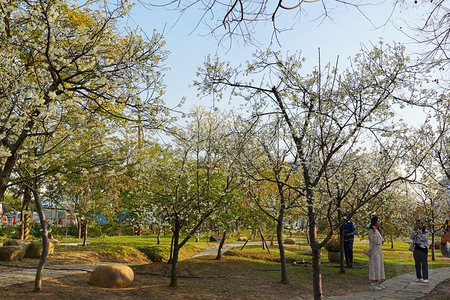 崴立機電櫻花公園