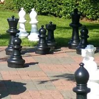 T中C彰N南投 西洋棋 News