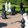 T中C彰N南投 西洋棋 News