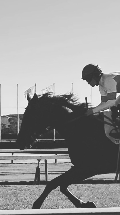 馬んちゅ本店❤️‍🔥競馬っ子の集い🍖ルイ競馬♪(´ε｀ )