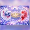 星辰御鬥 Betta Royale-上架區