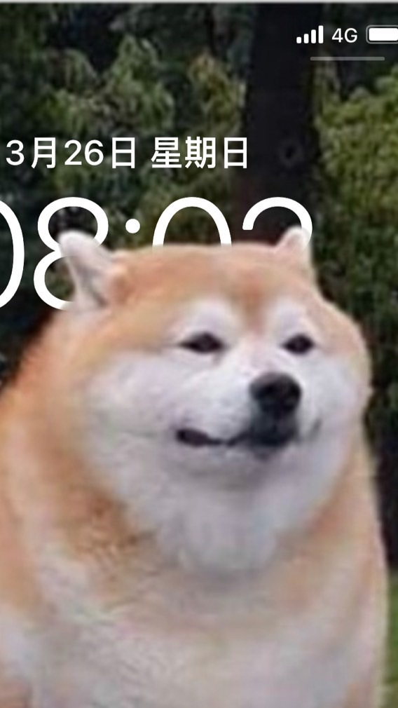 狗狗人投資社團