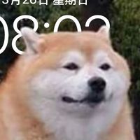 狗狗人投資社團