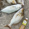 🌺沖縄🌺打ち込み釣り🎣