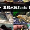 三和水族寵物館