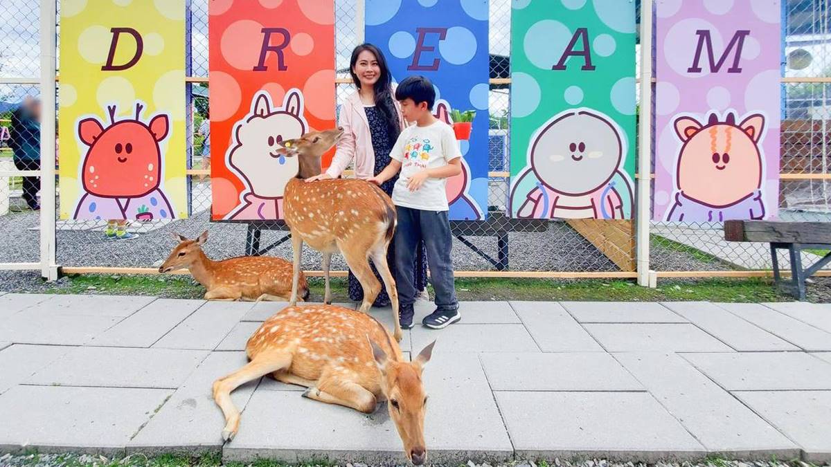 最低50元玩整天！2023新開幕６家「親子農場」：近距離餵水豚、１日小小蔥農