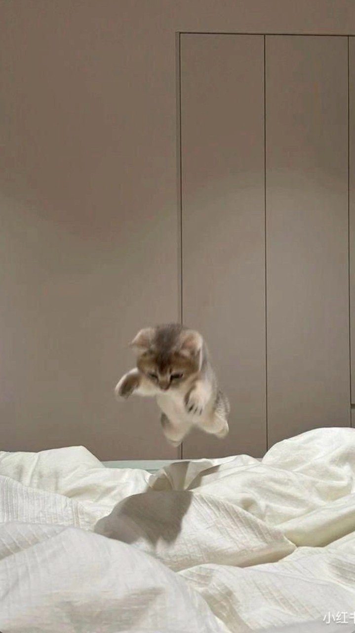 ネッ友なろー！