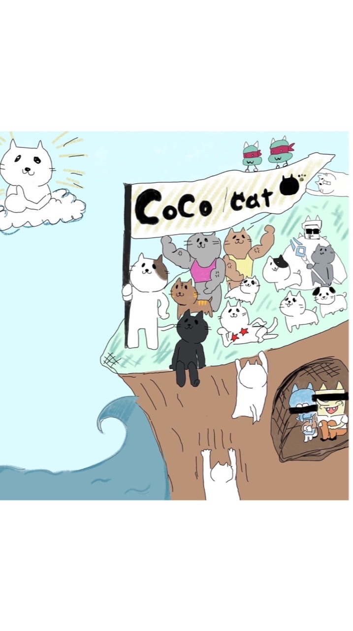 CoCo/Cat