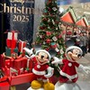 SD 限定連線群組 🎄❄️💖（商品請私訊 這裡不回覆報價）