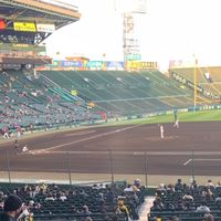 大阪 草野球交流会