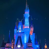 ディズニー　同行者募集　19〜27歳限定