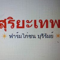 ไก่ชนสุริยะเทพฟาร์มไก่ชนบุรีรัมย์ (แบ่ง ขาย พูดคุย ต่อยอด พัฒนา)