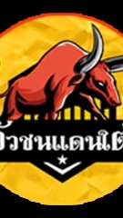 วัวชนแดนใต้ v.3