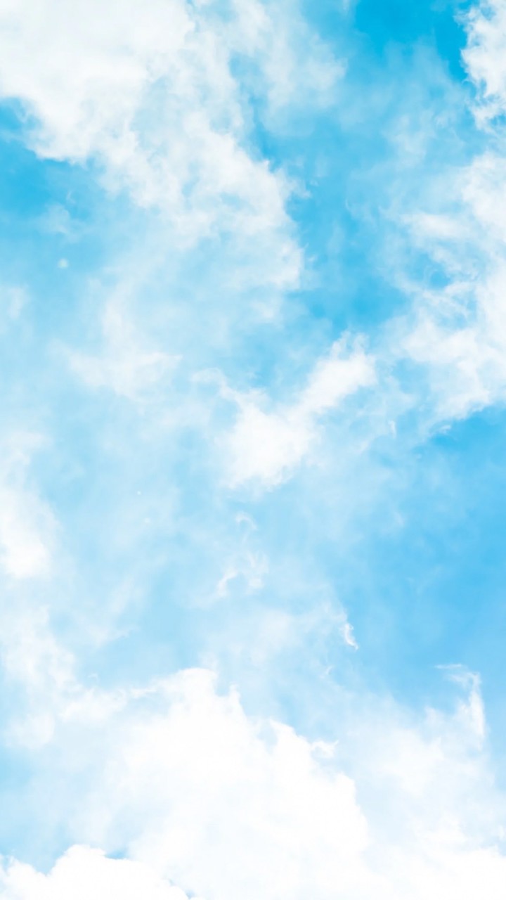 鷹援軍の小小賭場