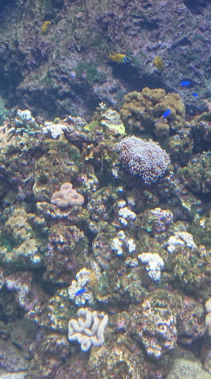 水族器材、濾材批發 零售