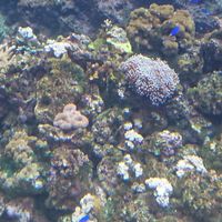 水族器材、濾材批發 零售