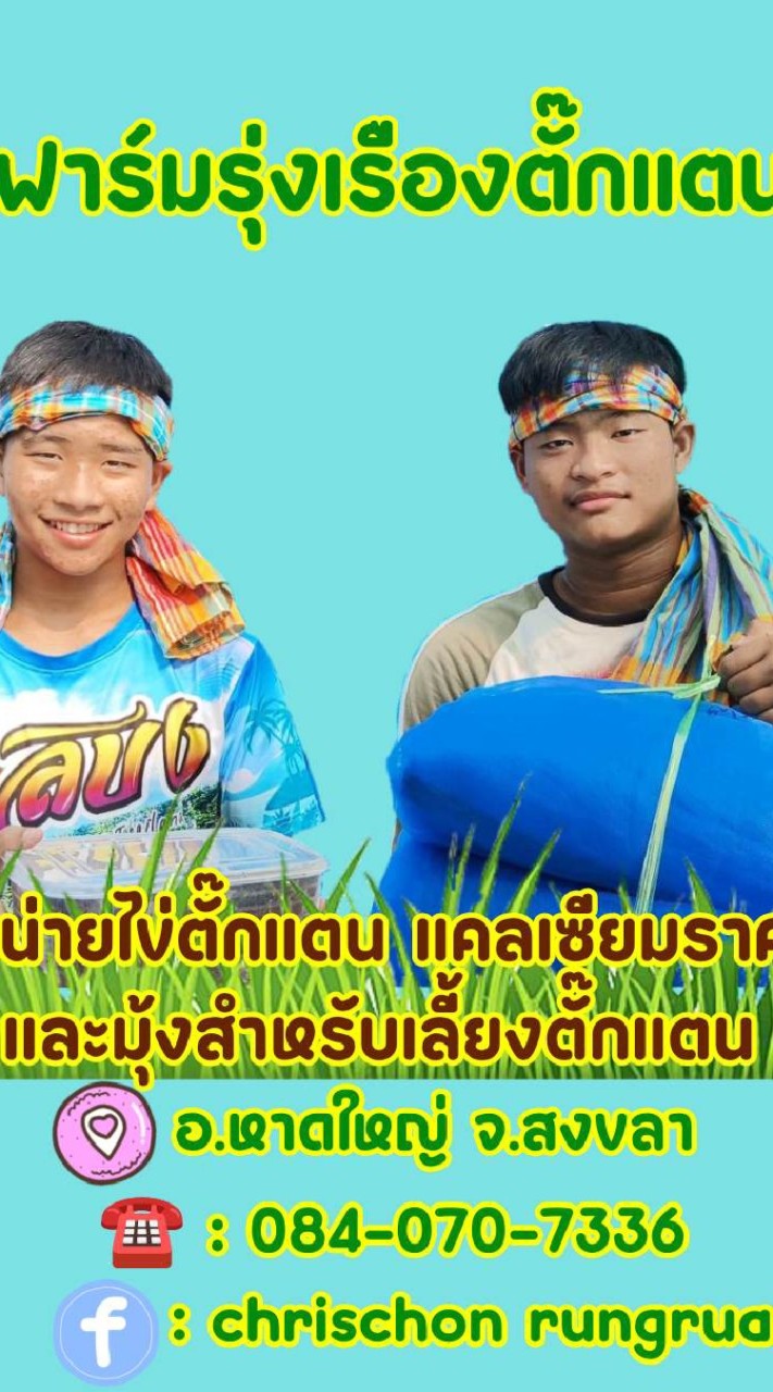 รุ่งเรืองตั๊กแตน